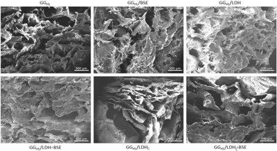 Healing Cartilage with Boswellia Extract in Special Gels to Reduce Inflammation