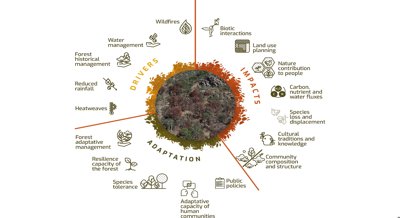 New Research Challenges in Threatened Dry Forests