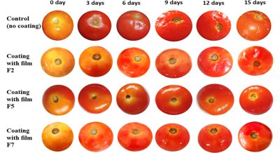 Extending Tomato Shelf Life with a Special Natural Coating