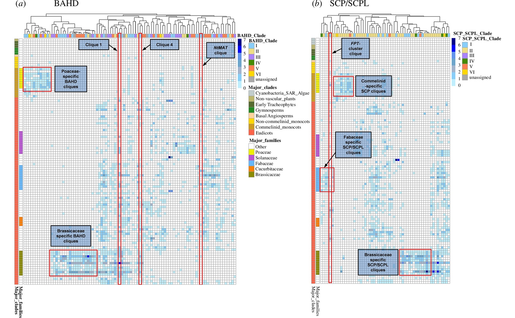 Uncovering the Evolution of Plant Metabolism Through Gene Family Analysis