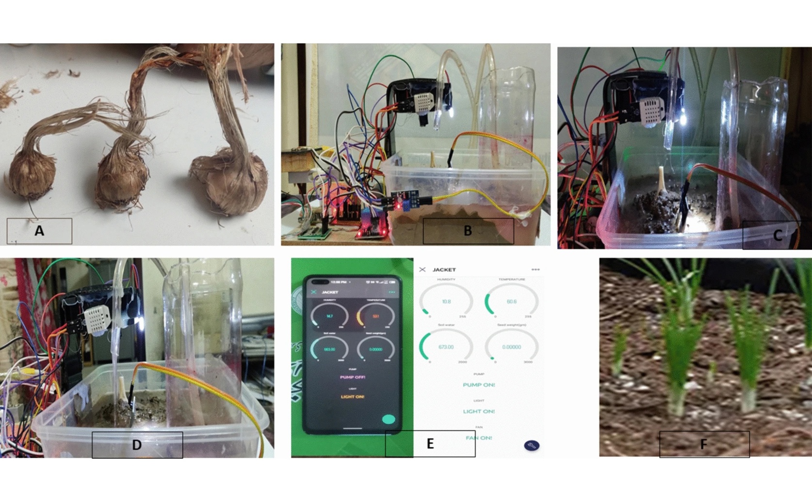 Smart Greenhouse System for Saffron Cultivation Using the Internet of Things