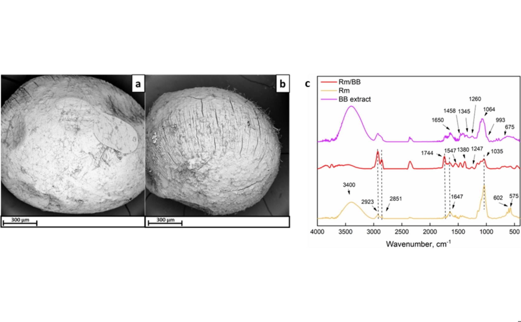 Blueberry Extract in Rice Milk Gel to Monitor Freshness of Chicken