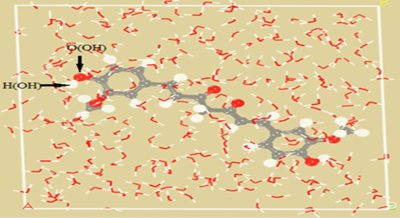 Using Subcritical Water to Extract Turmeric: A Molecular Dynamics Study