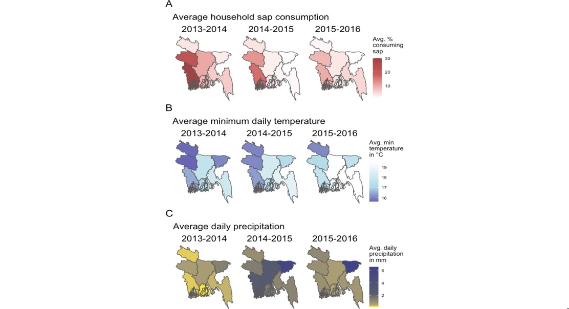 Weather Patterns Affecting Household Date Palm Sap Consumption, 2013-2016