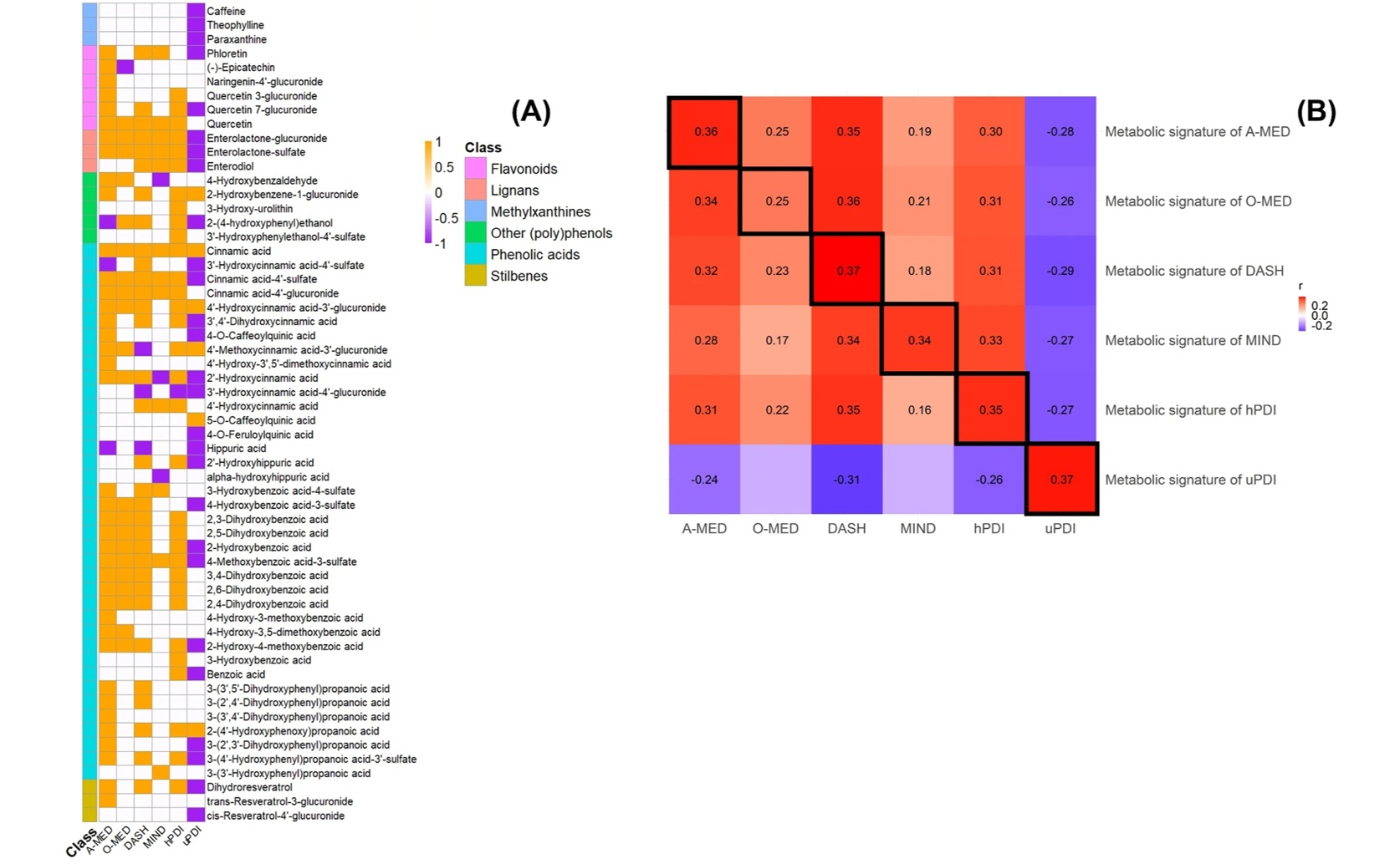 Understanding How Plant-Based Diets Affect Our Metabolism Using Plant Nutrients