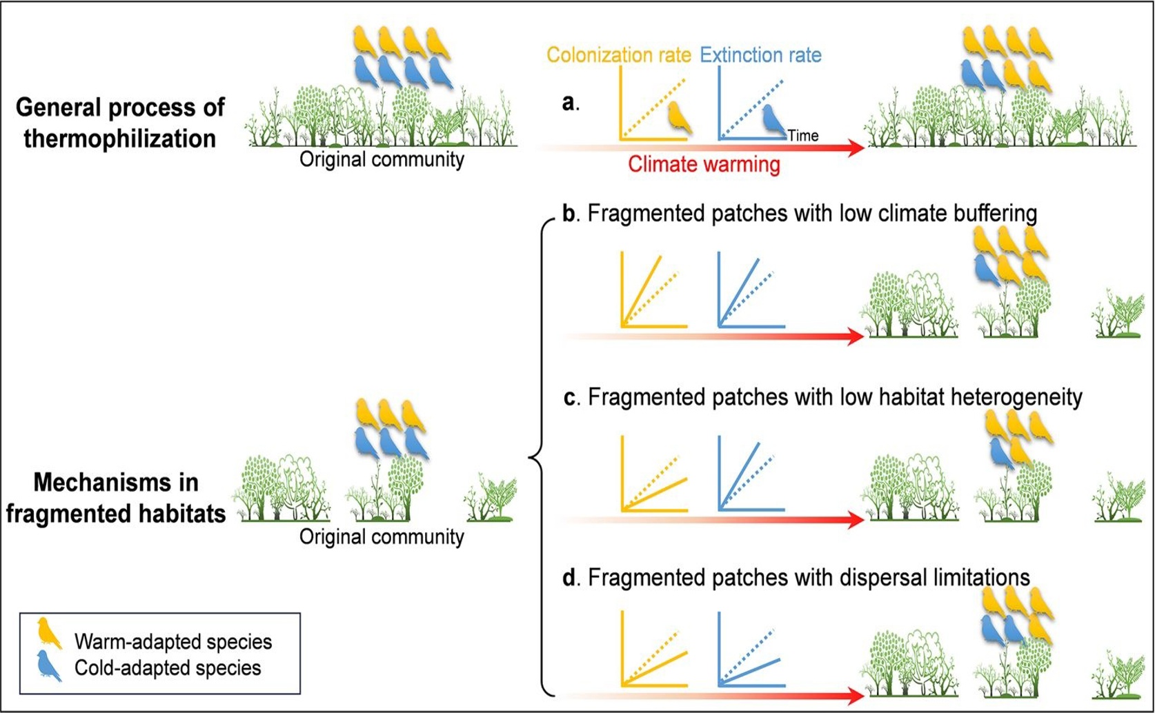 How Habitat Changes Affect Birds' Adaptation to Warming Climate Over Time