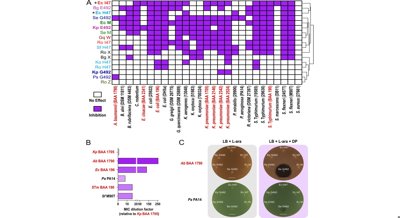 New Antibiotics Show Promise Against Harmful Bacteria and Plant Diseases