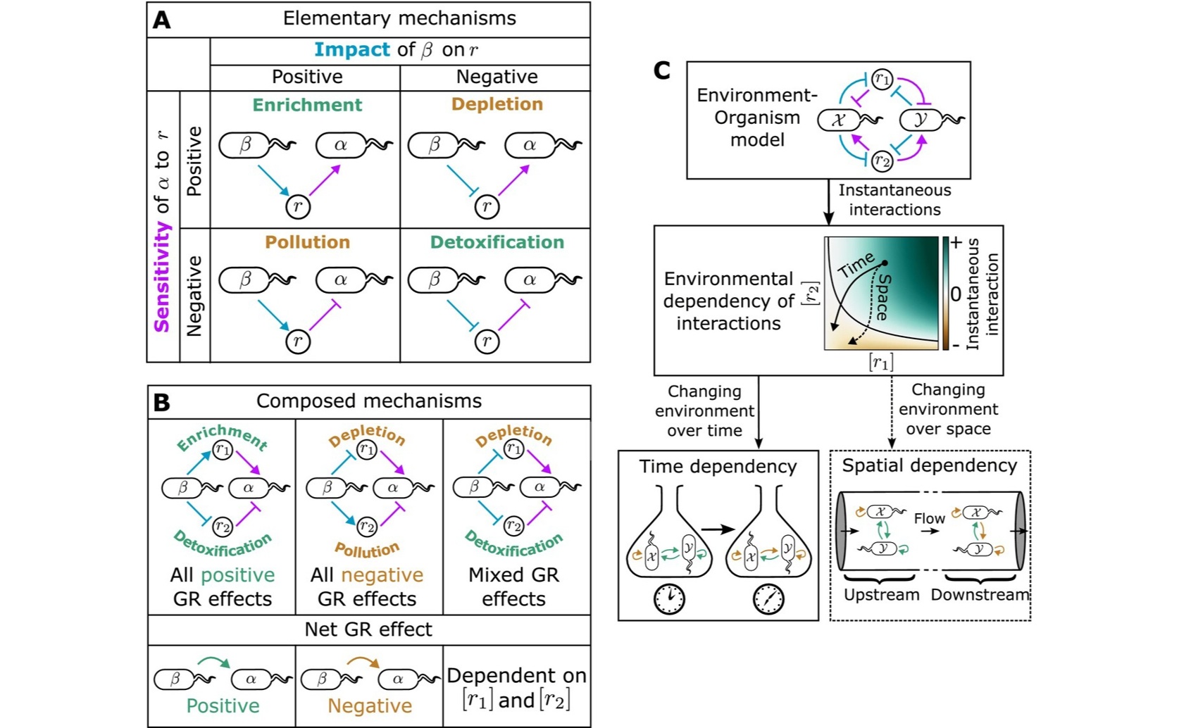 How Environment and Organisms Influence Ecological Relationships