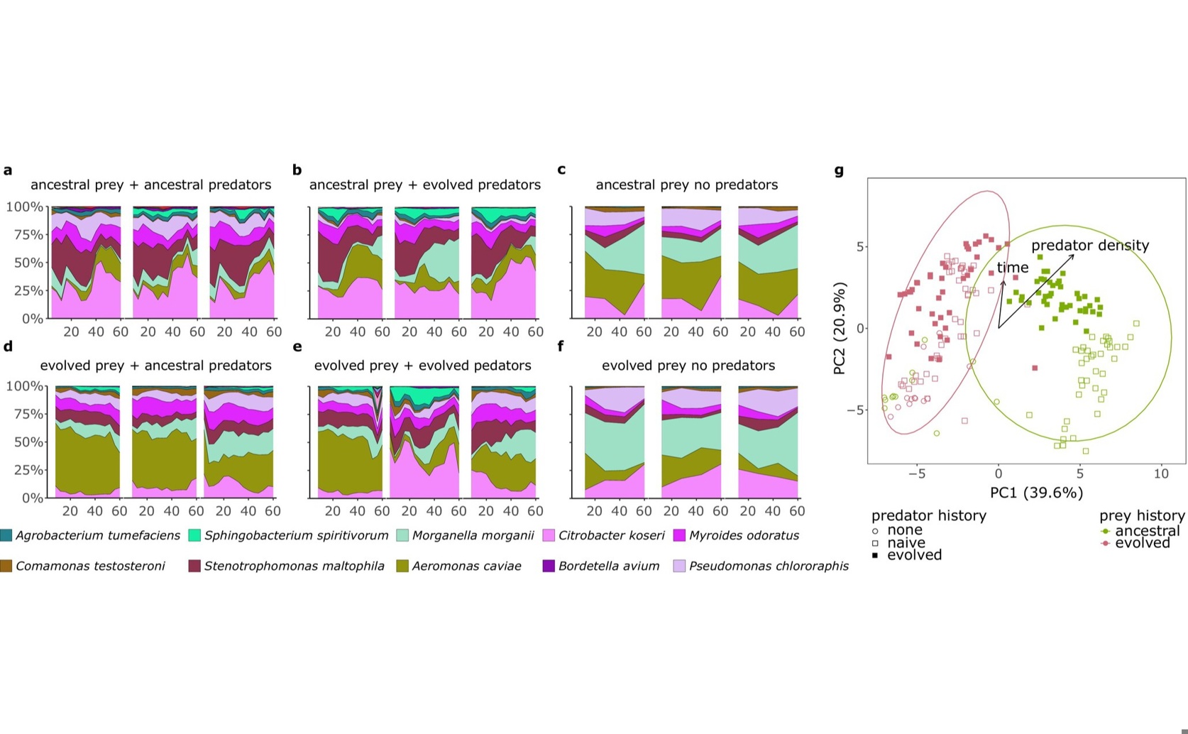 How Changes Over Time in Sorting and Evolution Affect Community Dynamics