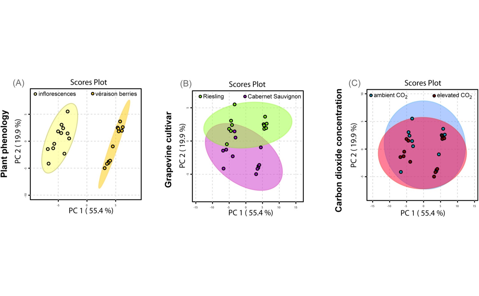 How Diet, CO2, and Plant Type Impact Grapevine Quality and Insect Development