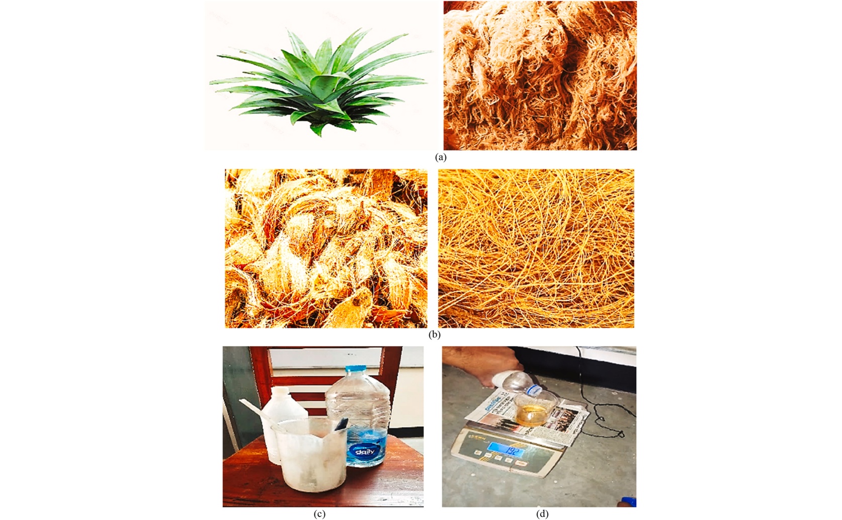Optimizing Reinforced Composites Made from Coconut and Pineapple Fibers