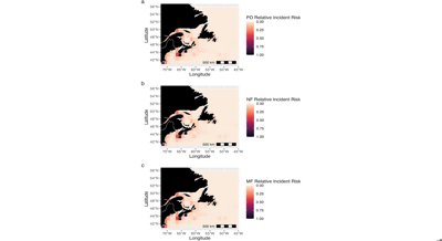 Tracking Whale Movements and Ship Encounters in the Northwest Atlantic