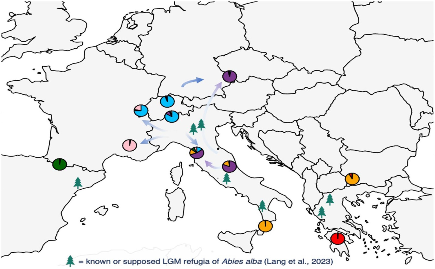 Genetic Differences in Silver Fir Growing in Warmer Mediterranean-Like Areas
