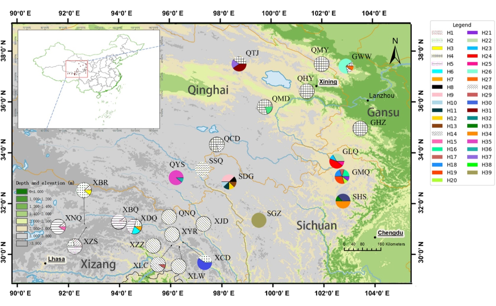 Genetic Differences and History of a Rare Plant from a High-Altitude Plateau