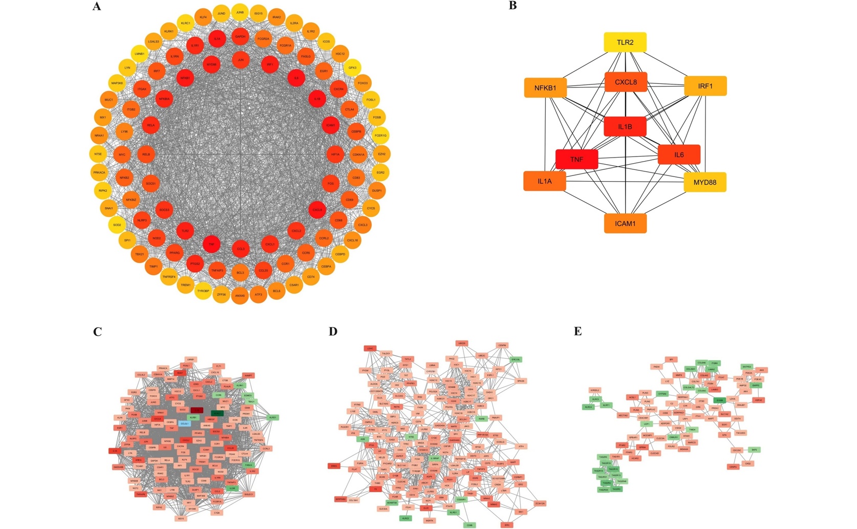 Comprehensive Study of RNA Roles in Rheumatoid Arthritis: From Data to Lab Tests