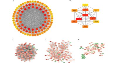 Comprehensive Study of RNA Roles in Rheumatoid Arthritis: From Data to Lab Tests