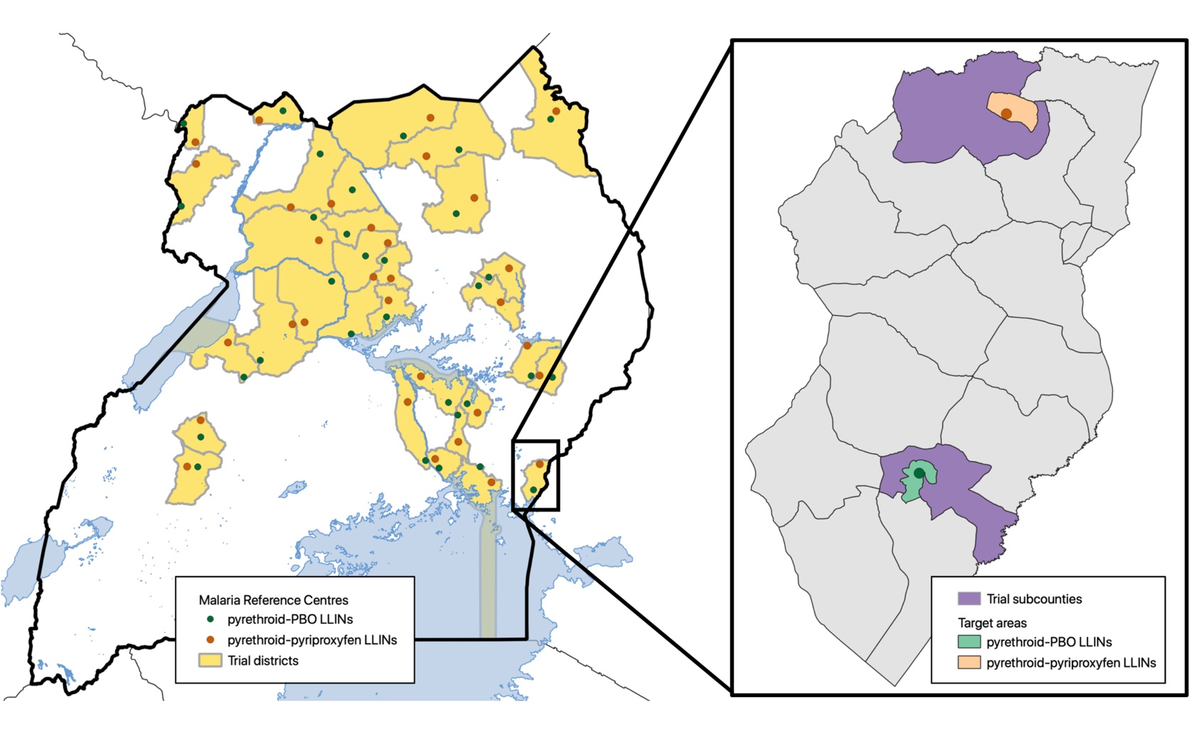 Different Bug-Killing Nets Tested for Better Protection: A Community Study