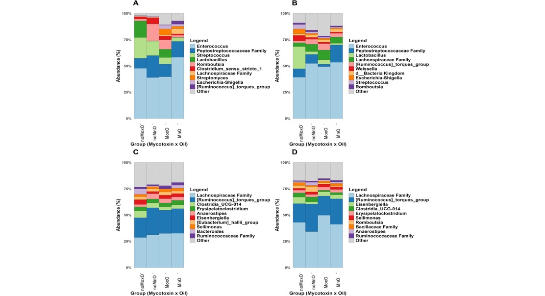 How Contaminants in Feed Affect Gut Bacteria