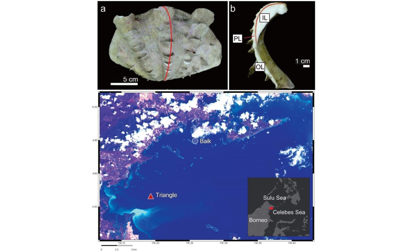 Crystal and Chemical Changes on Cloudy Reefs