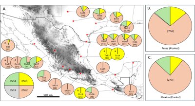 Exploring How Crop Pests Move Between North and South America