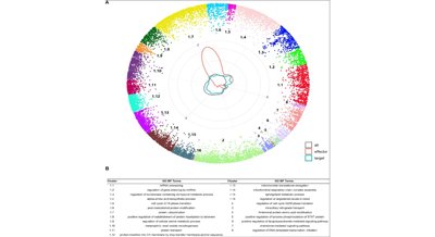Predicting Protein Interactions and Their Role in Phosphorylation