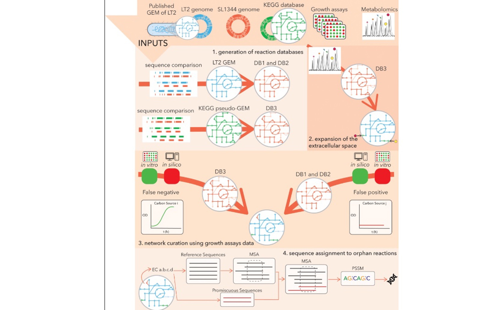 Using Metabolic Networks to Study Salmonella Growth in the Intestine