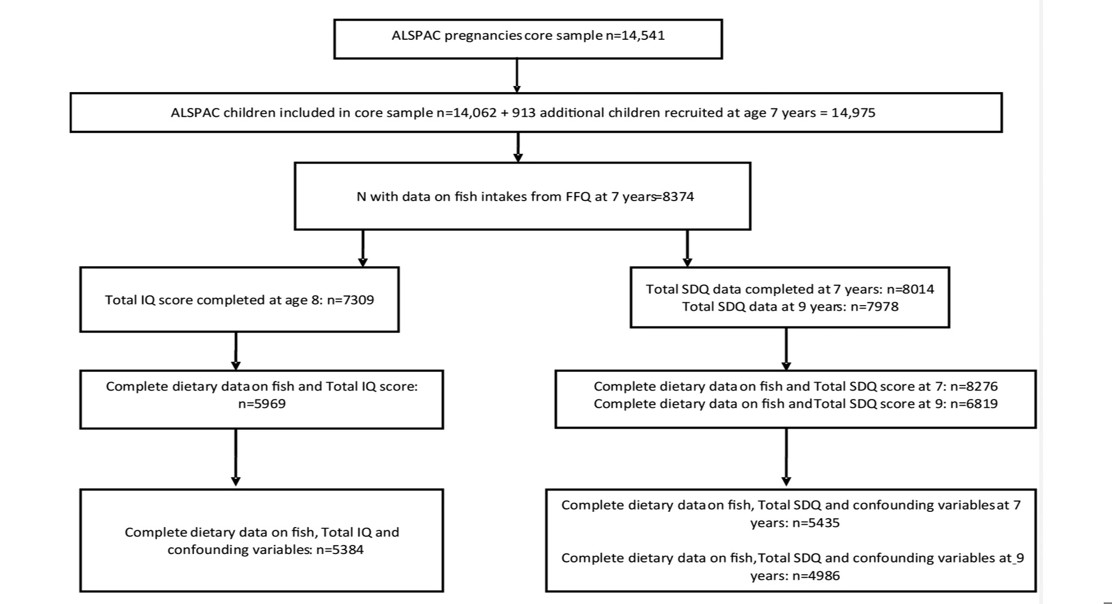 How Seafood Consumption at Age 7 Affects Children’s Brain Development