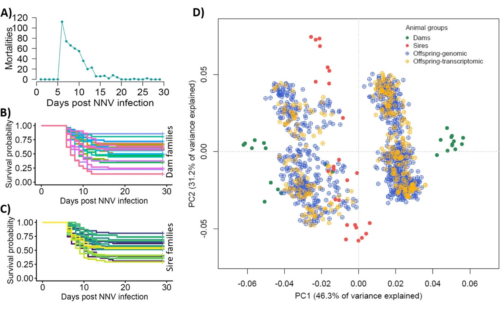 Genomic Study Finds Key Genetic Factors for Disease Resistance