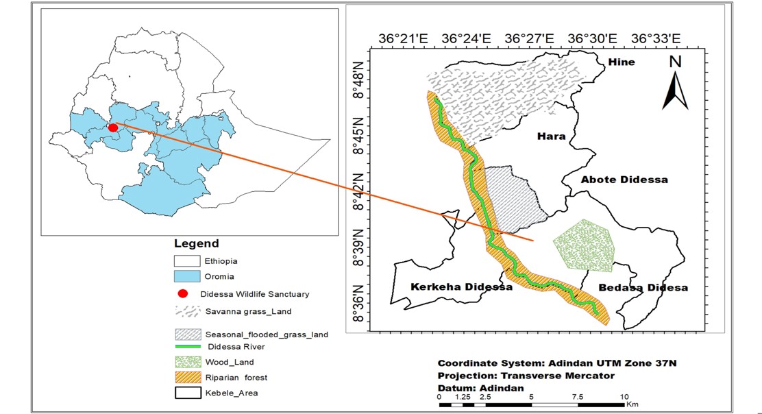 Diversity and Habitat of Medium and Large Mammals in Dhidhessa Sanctuary