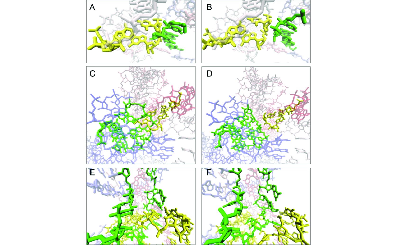Untangling Genetic Code: A New Way to Fix Data Errors