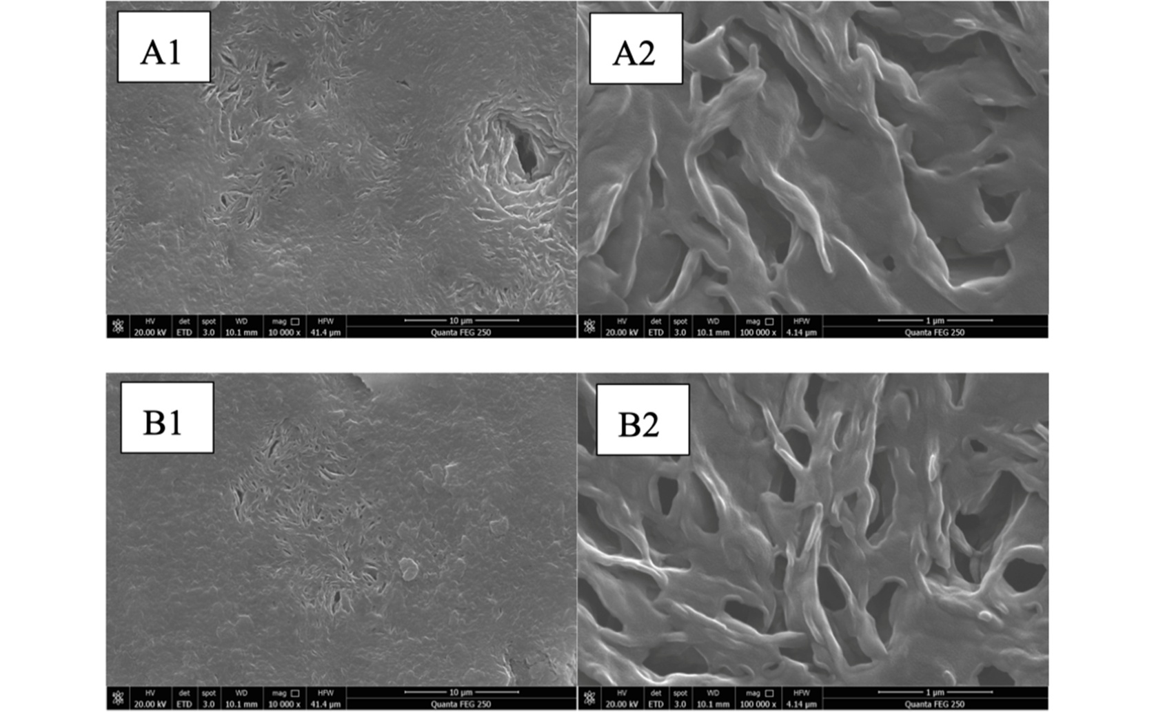 Improving Enzyme Stability and Efficiency with a Temperature-Sensitive Gel