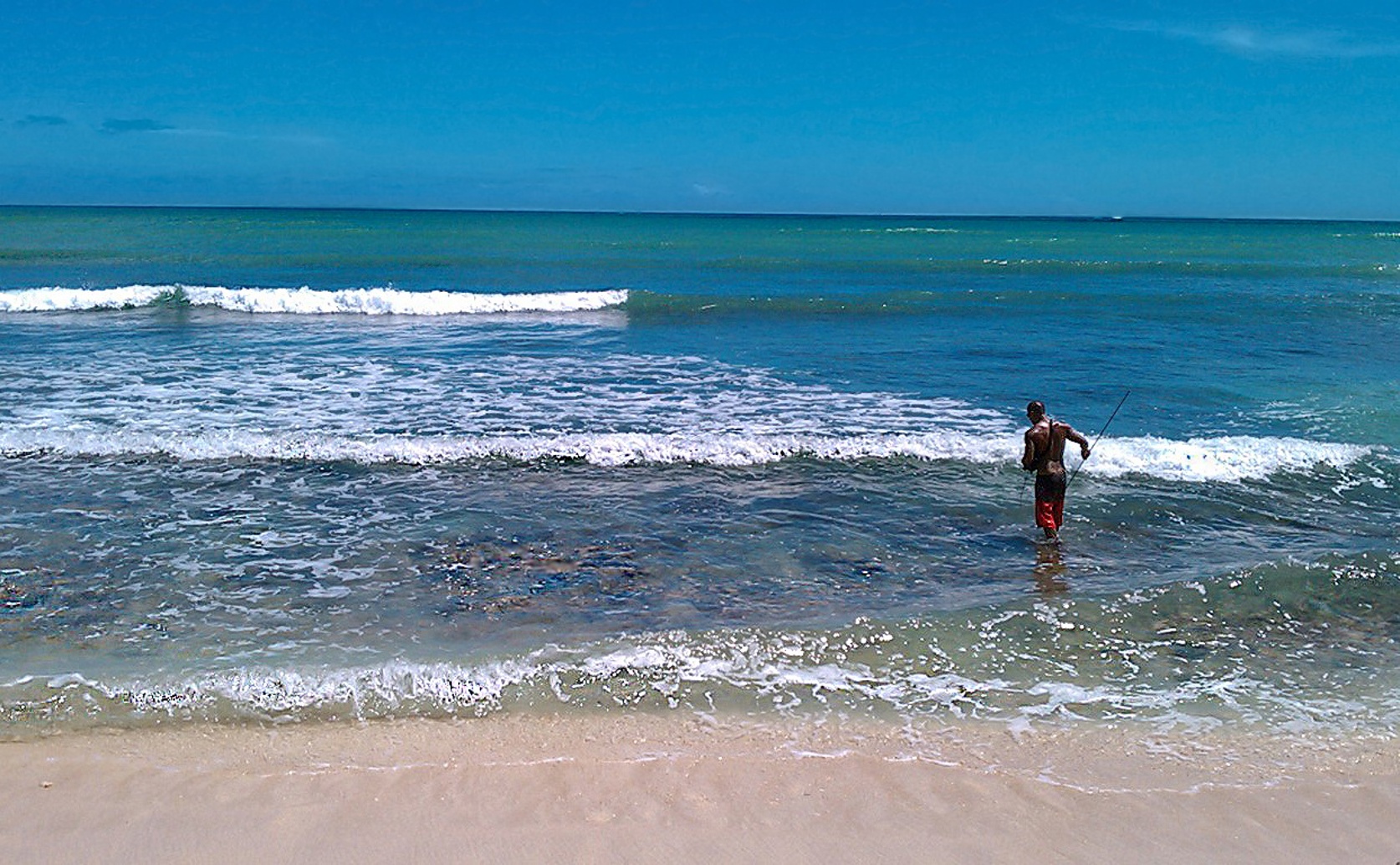 Spearfishing and Public Health: Findings from a Large Survey