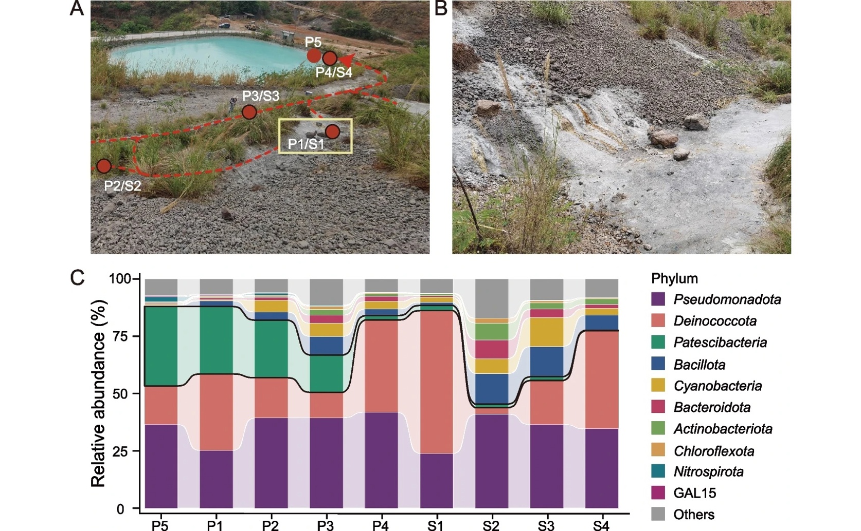 Extreme Environment Bacteria Reveal New Insights into Their Symbiotic Life
