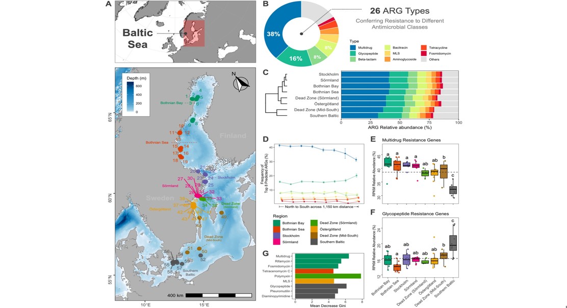 How the Environment Influences Antibiotic Resistance in the Baltic Sea
