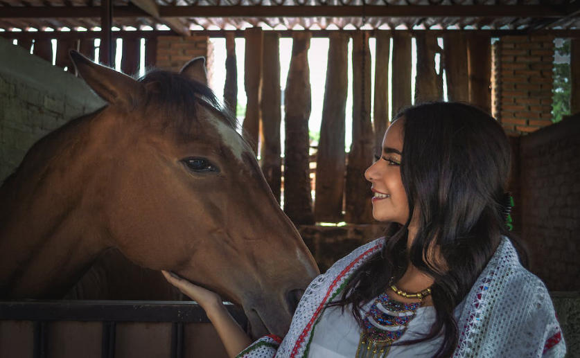 Horses Can Learn Symbols and Use Them to Communicate Desires