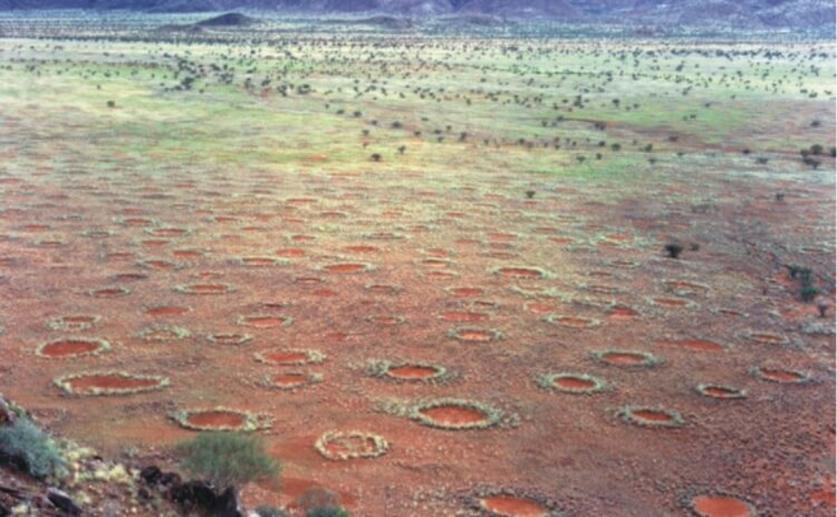 Scientists Provide an Explanation for the Existence of “Fairy Circles”