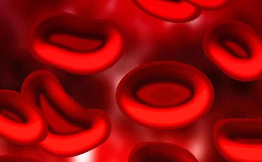 Technique Found To Turn Skin Cells Into Red Blood Cells