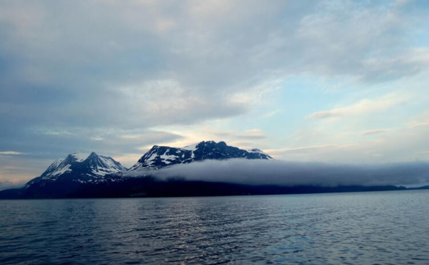 The Arctic Ocean Is More Important in Global Nitrogen Removal Than Previously Believed